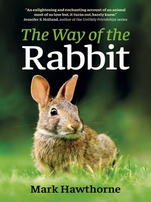 cover image of The Way of the Rabbit